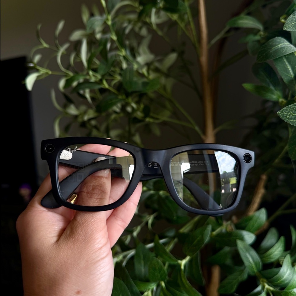 Ray-Ban Black Matte Wayfarer Sunglasses & Leather charging case